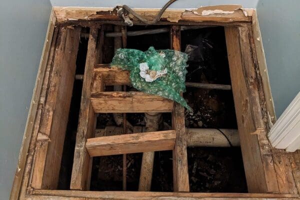 449606230_455922007376415_5596111451800784550_n