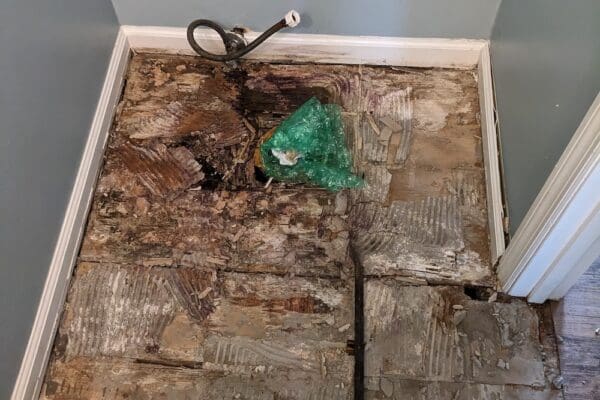 PXL_20240408_170929853