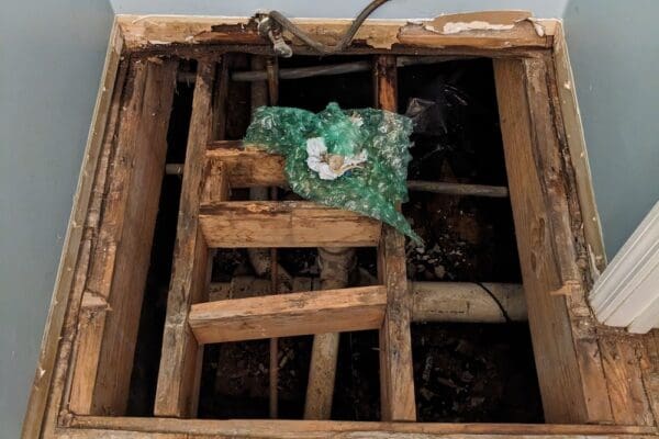 PXL_20240408_191729481