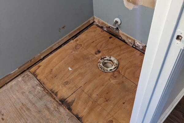 PXL_20240410_195905372