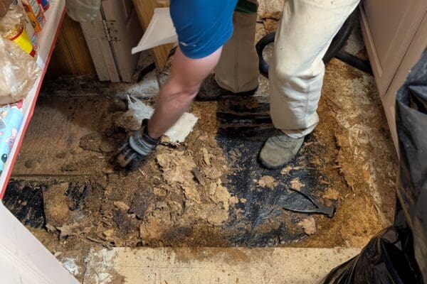 PXL_20241021_192212663