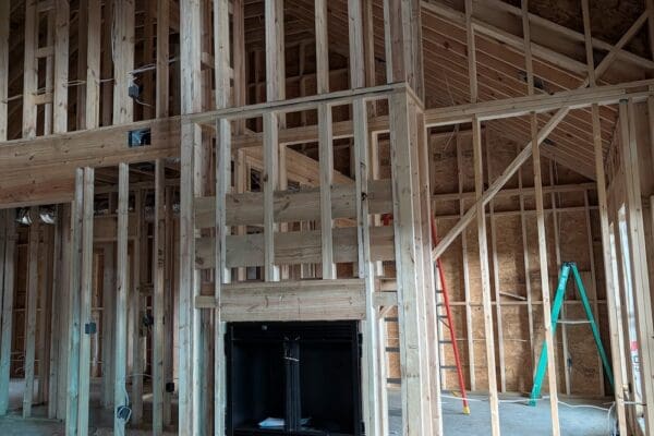 PXL_20241031_190057471 PXL_20241031_190057471