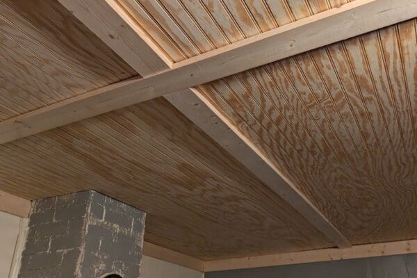 PXL_20241119_222926238