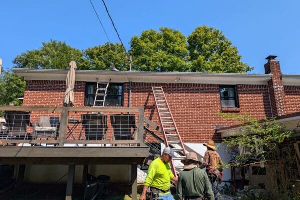 PXL_20250818_201813319 Large